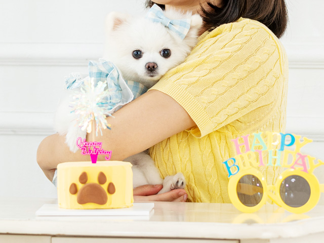 cake02